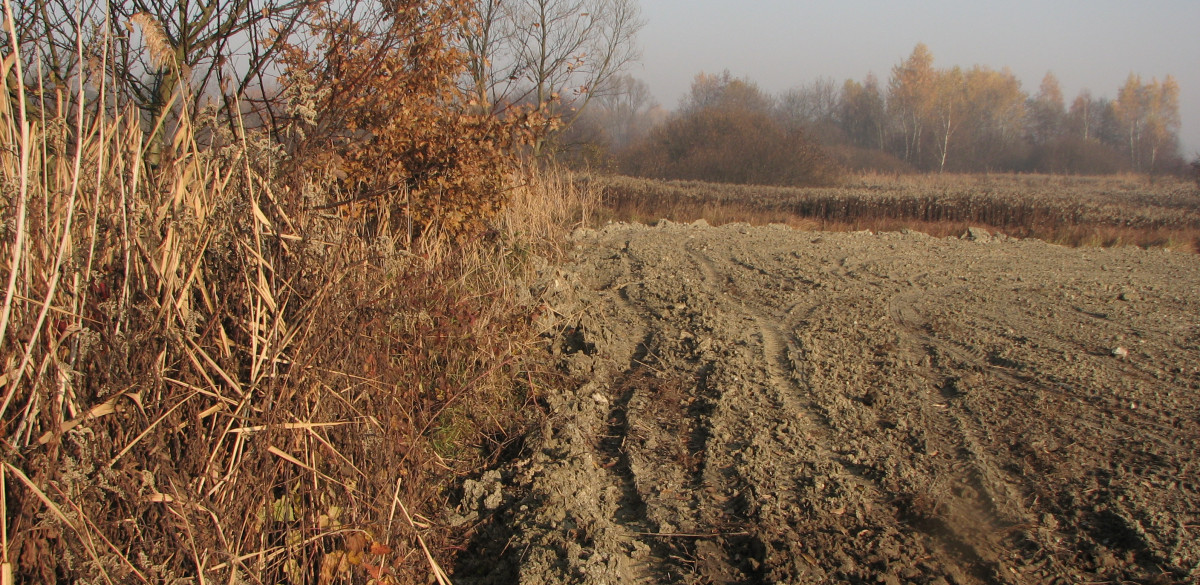 30 zniszczenia w obszarze Natura 2000 fot v2. Magdalena Szymanska